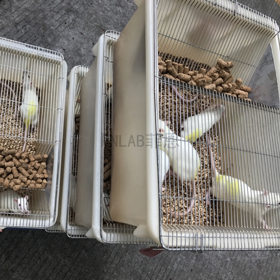 无菌室装修设计公司